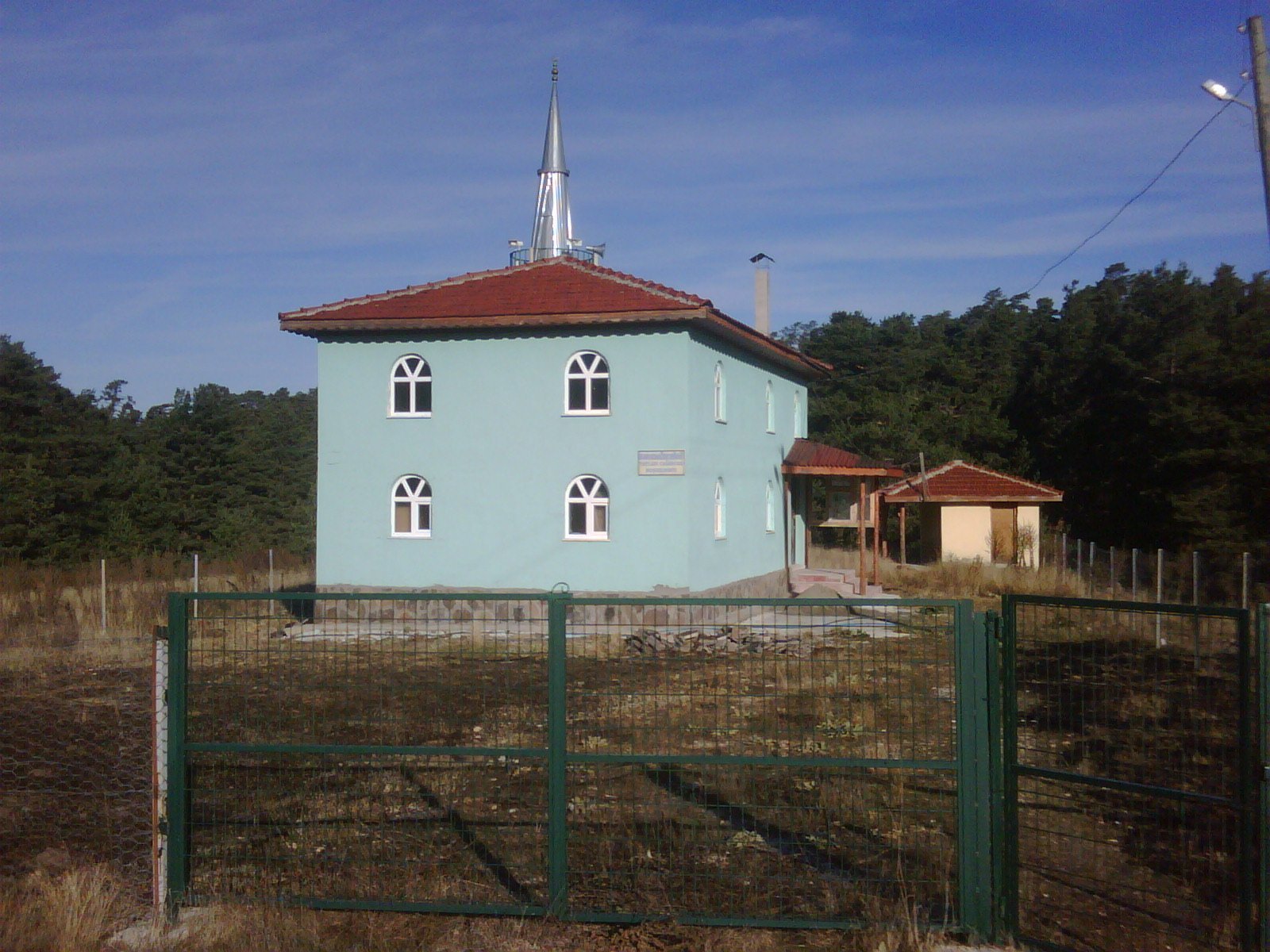 IMG01036-20111022-0902.jpg