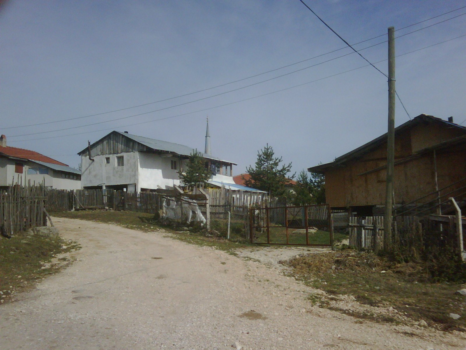 IMG01045-20111022-1228.jpg