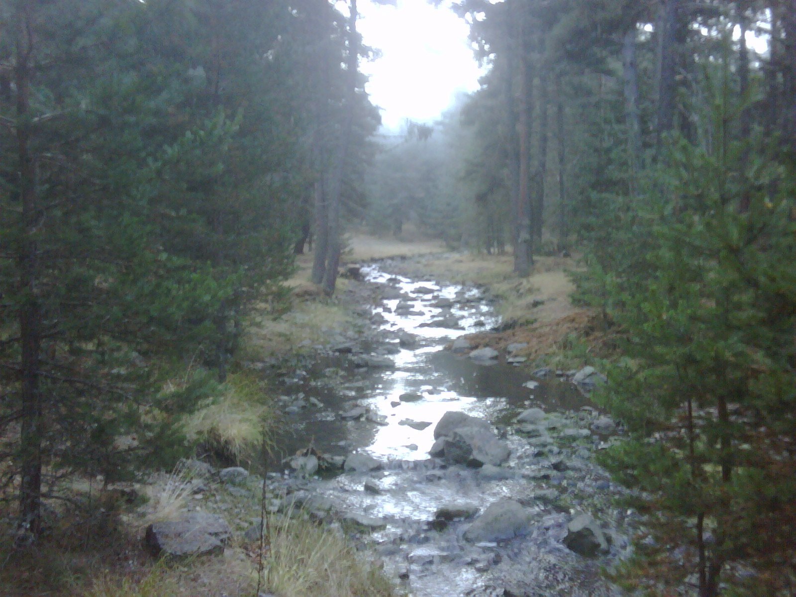 IMG01058-20111023-0737.jpg