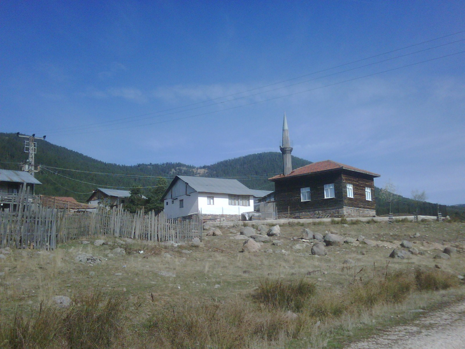IMG01070-20111023-1208.jpg