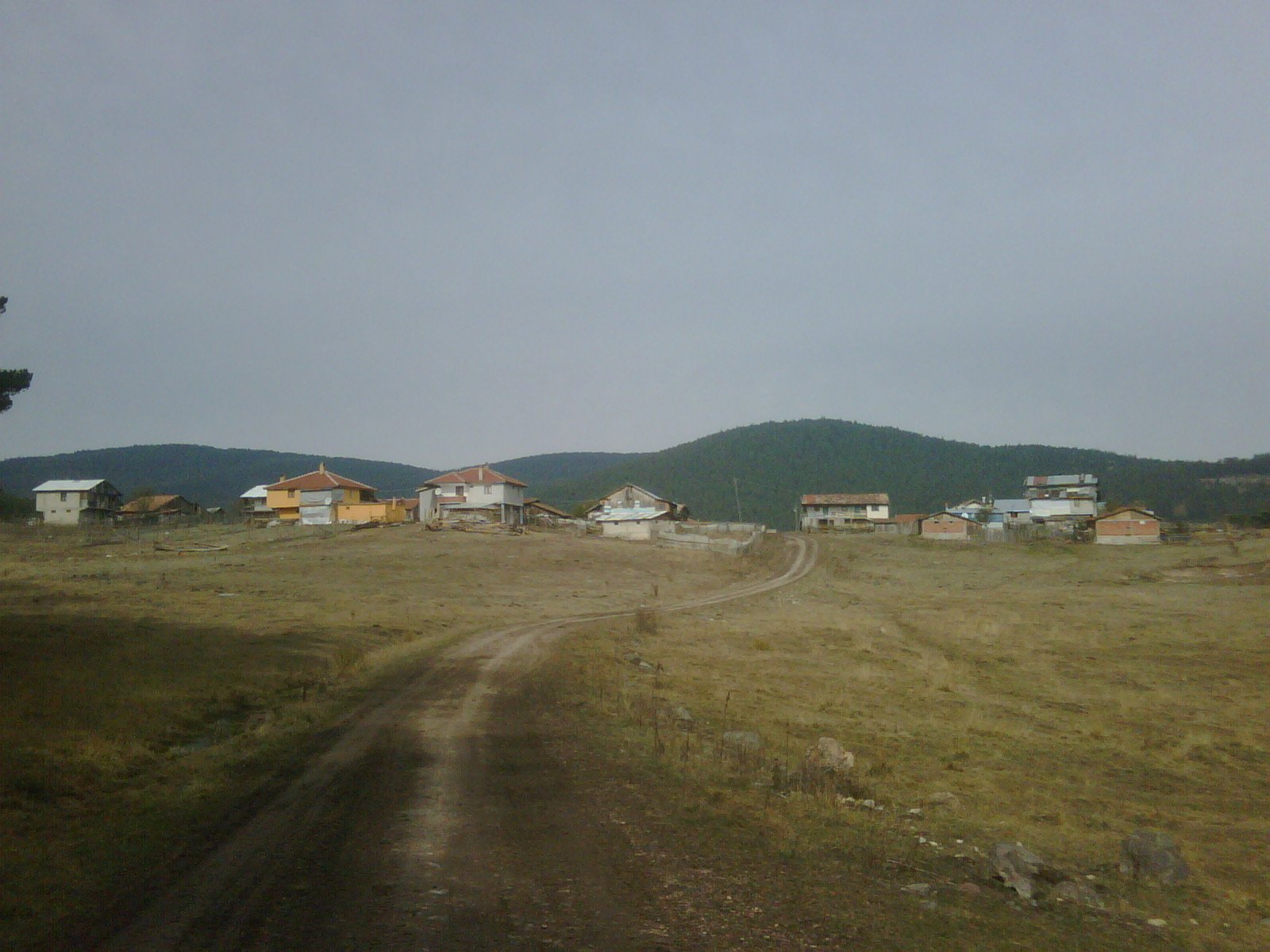 IMG01090-20111024-1109.jpg