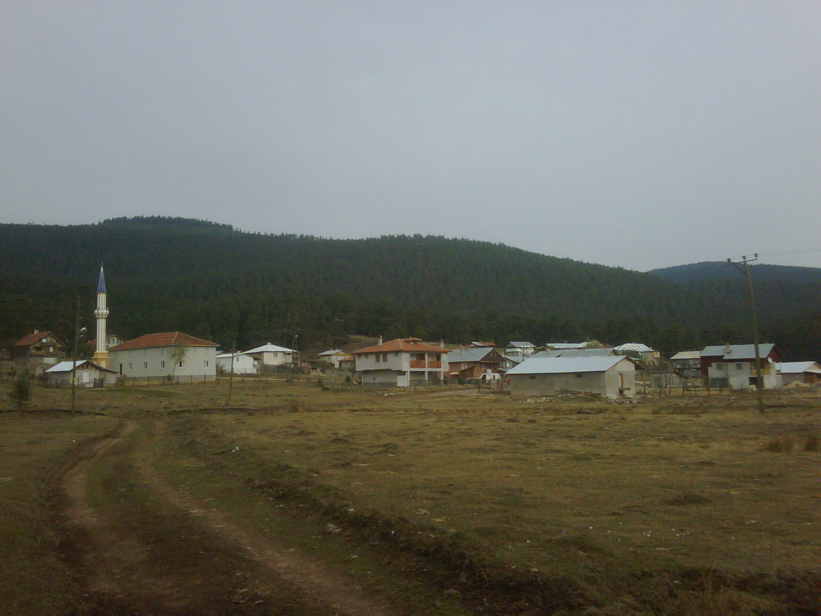 IMG01094-20111024-1149.jpg