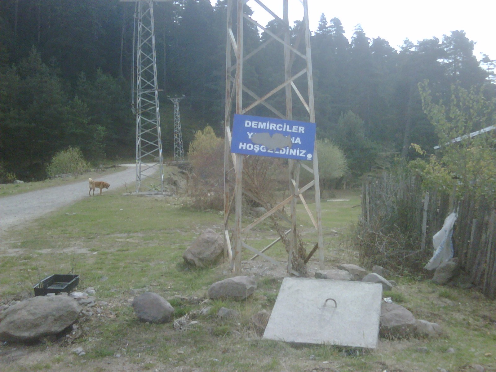 IMG01098-20111024-1307.jpg