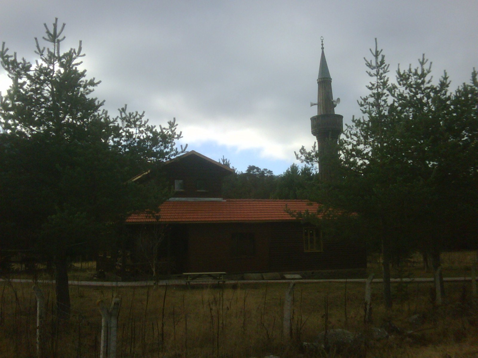 IMG01109-20111025-0912.jpg