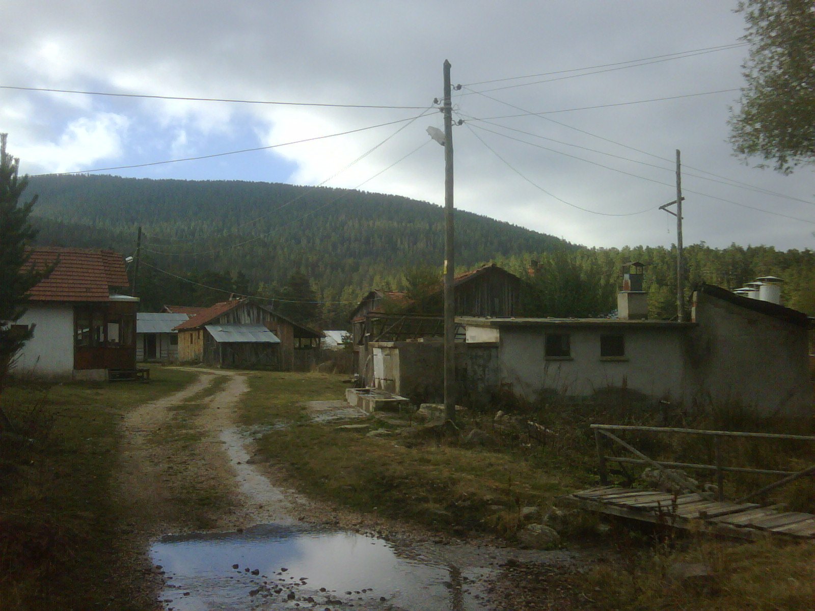 IMG01112-20111025-0926.jpg
