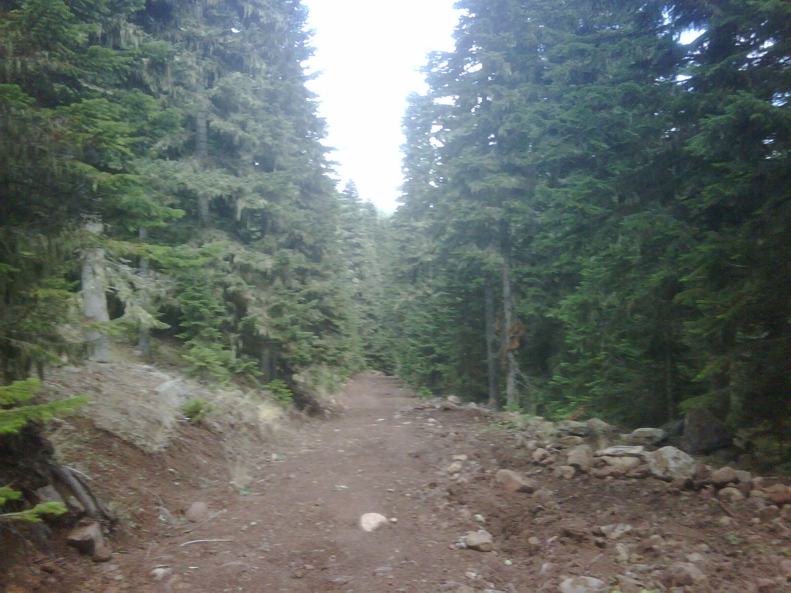 IMG01125-20111025-1246.jpg