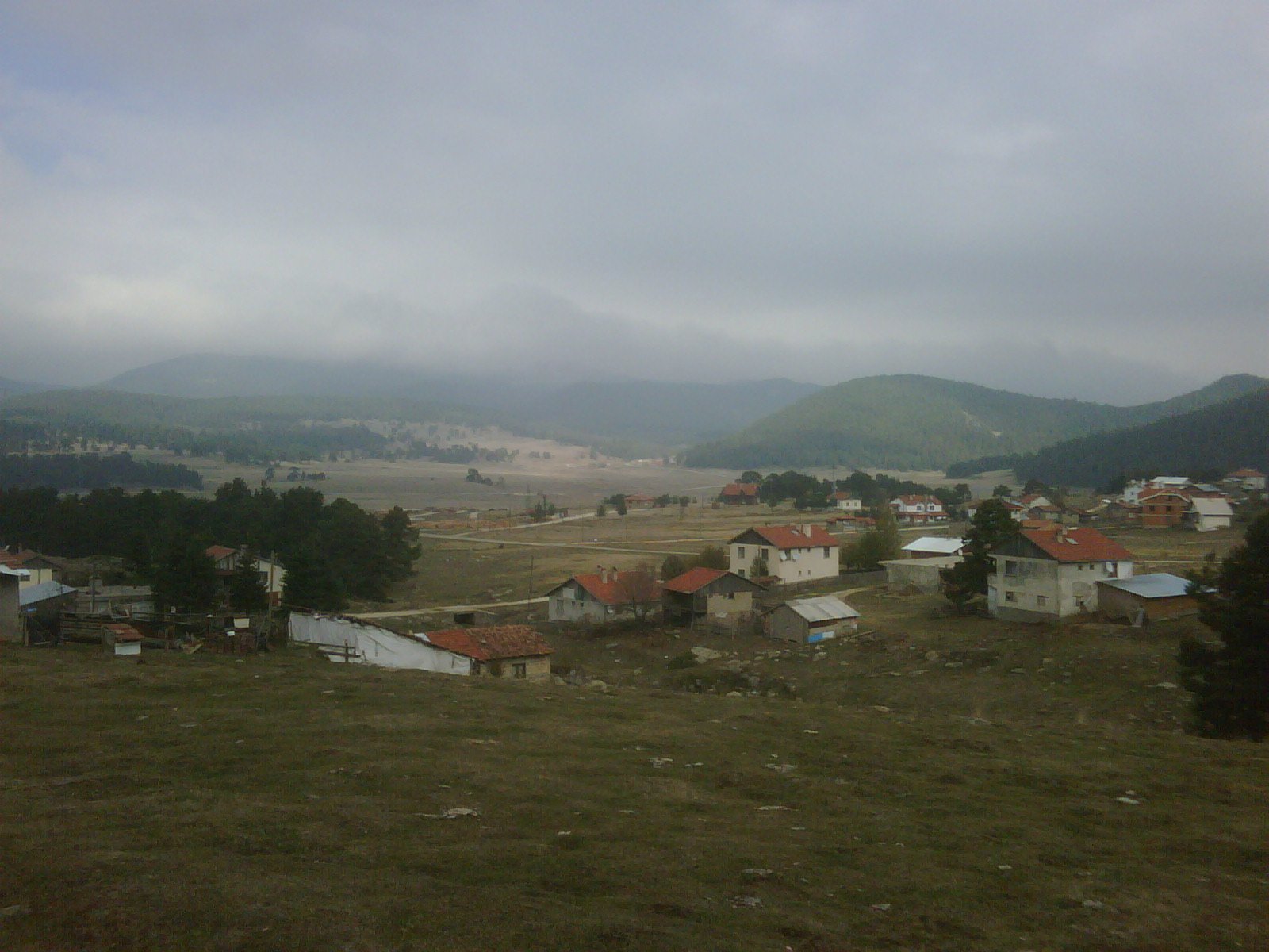 IMG01135-20111025-1344.jpg