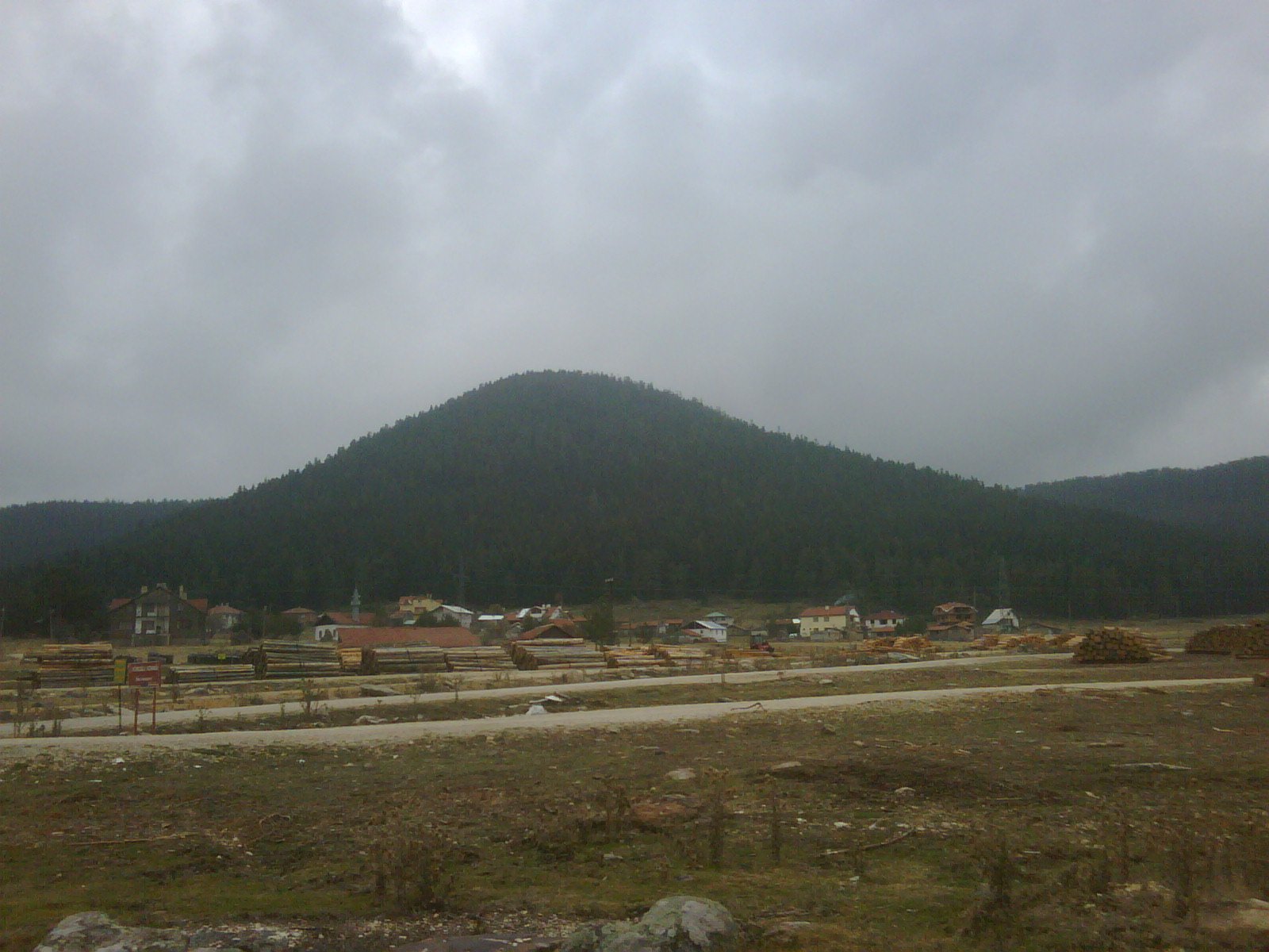IMG01142-20111026-0921.jpg