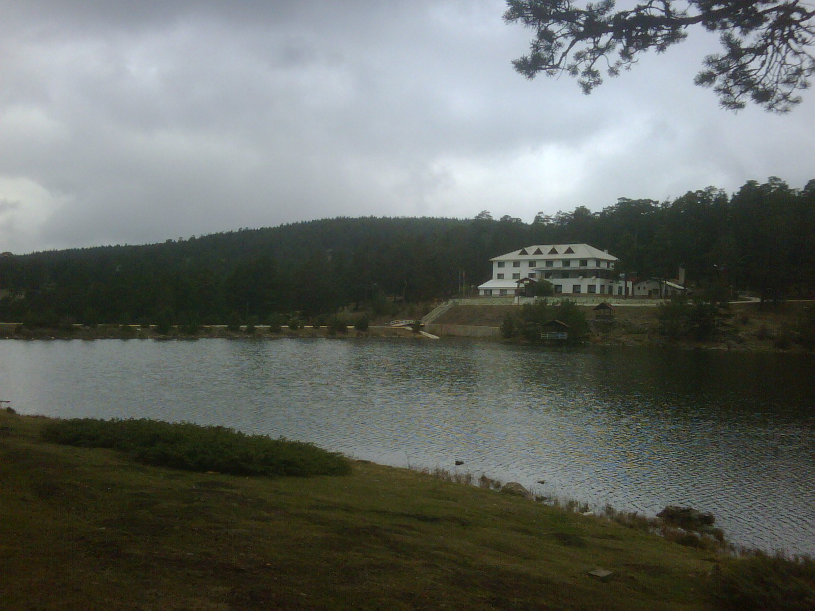 IMG01151-20111026-1011.jpg