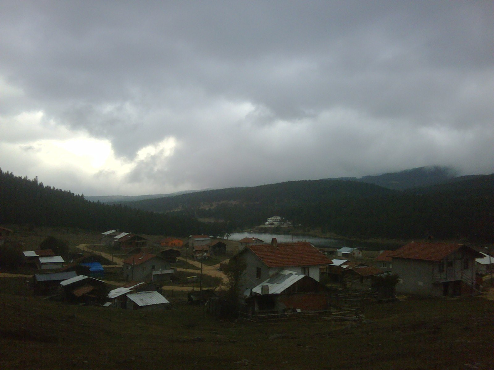 IMG01152-20111026-1029.jpg