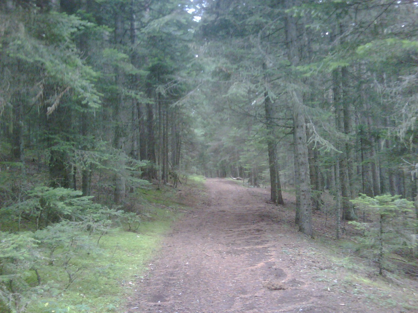 IMG01162-20111026-1211.jpg