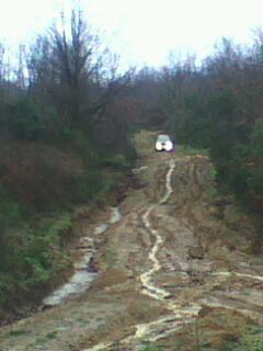 IMG0131A_1.jpg