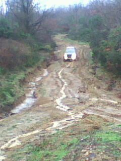 IMG0132A.jpg