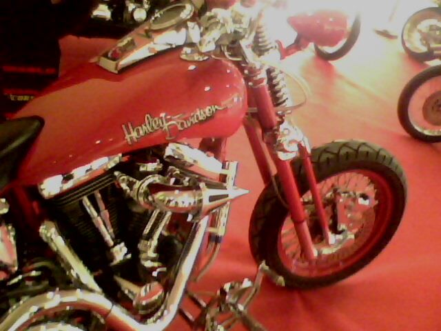 IMG0147A.jpg