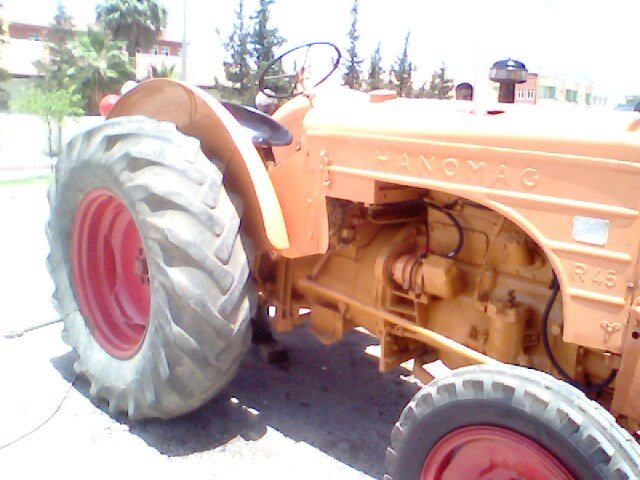 IMG0174A.jpg
