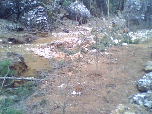 IMG0310A.jpg