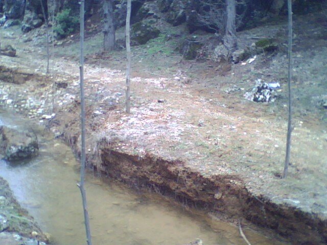 IMG0311A.jpg