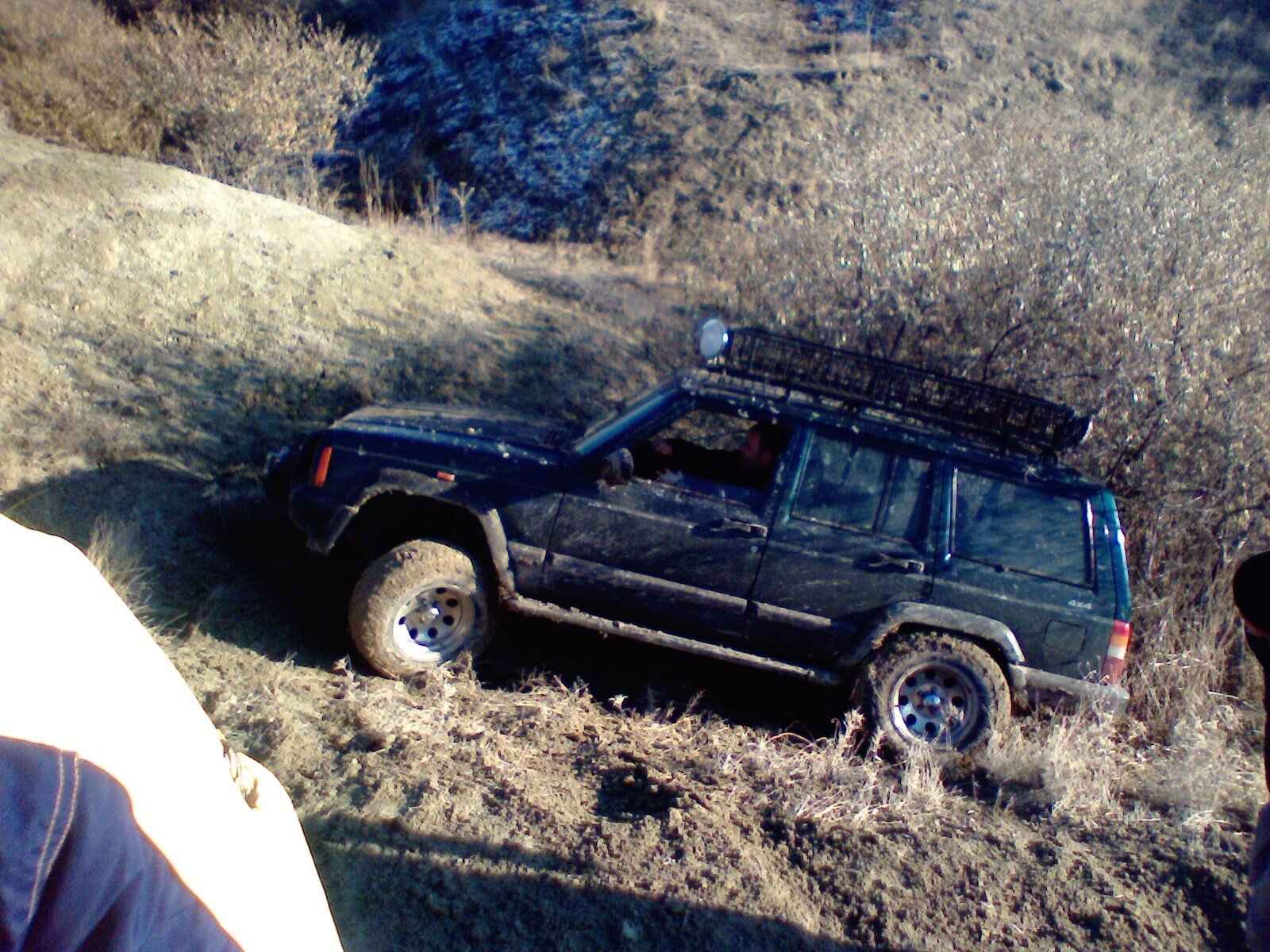 IMG0421A.jpg