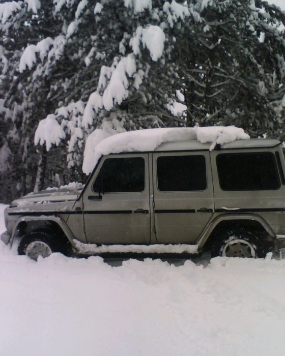 img144.jpg