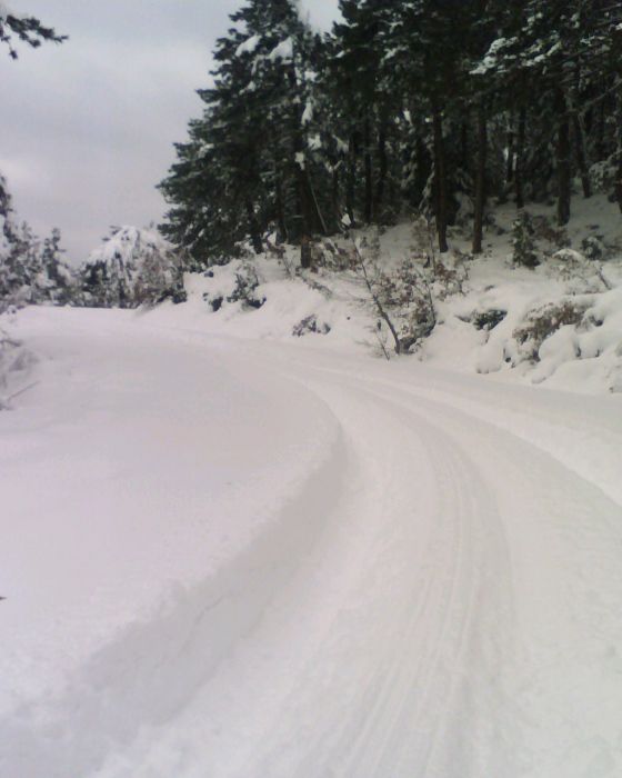 img149.jpg