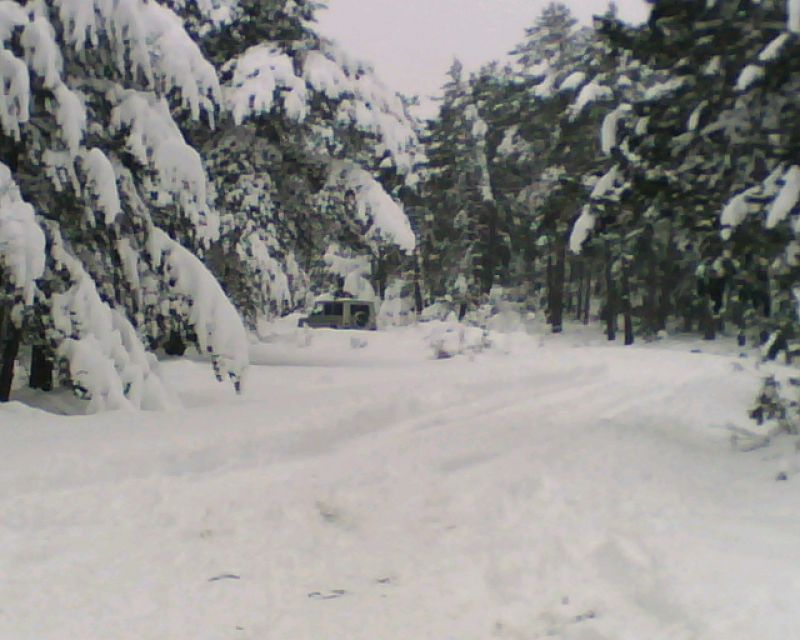 img151.jpg