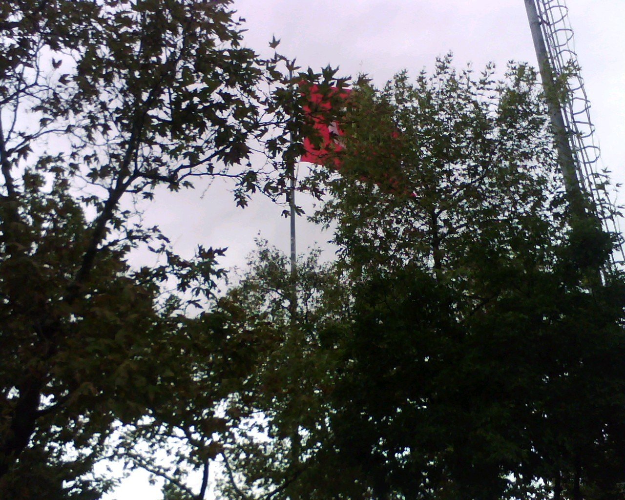 img184.jpg