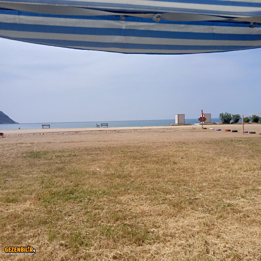 IMG20210502110547.jpg