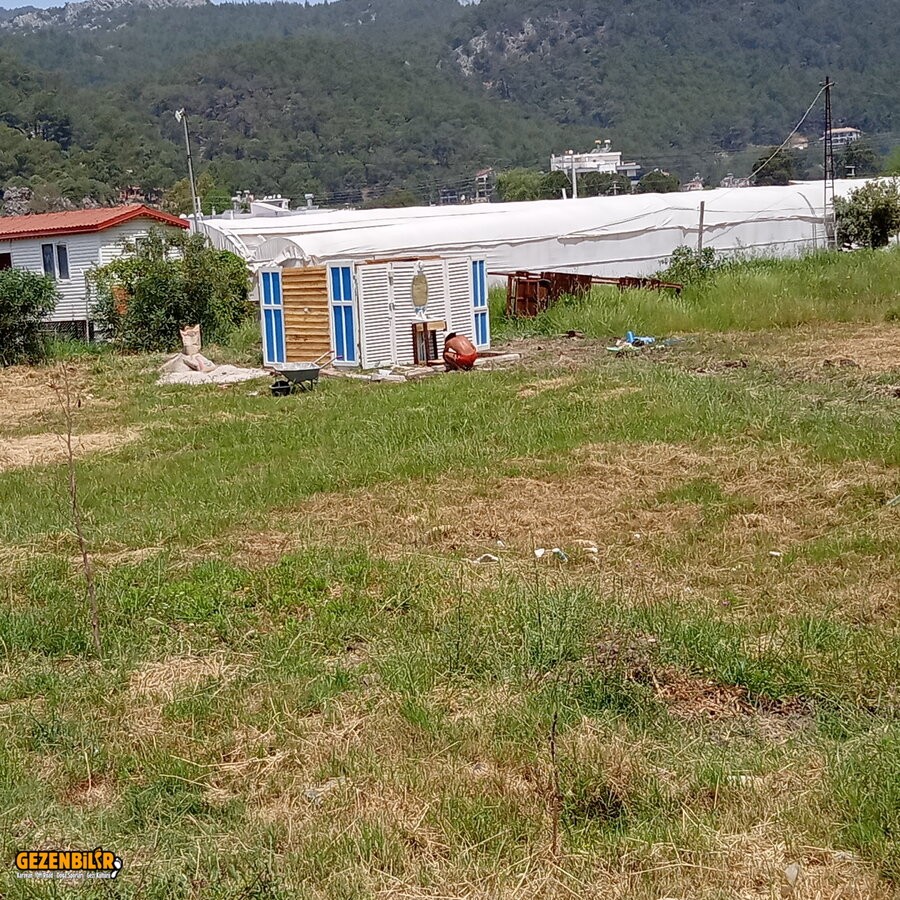 IMG20210506114013.jpg