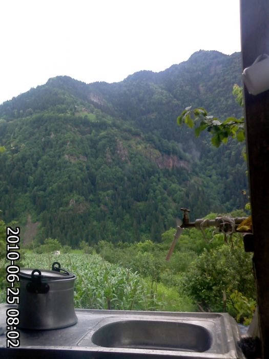 IMG318b.jpg