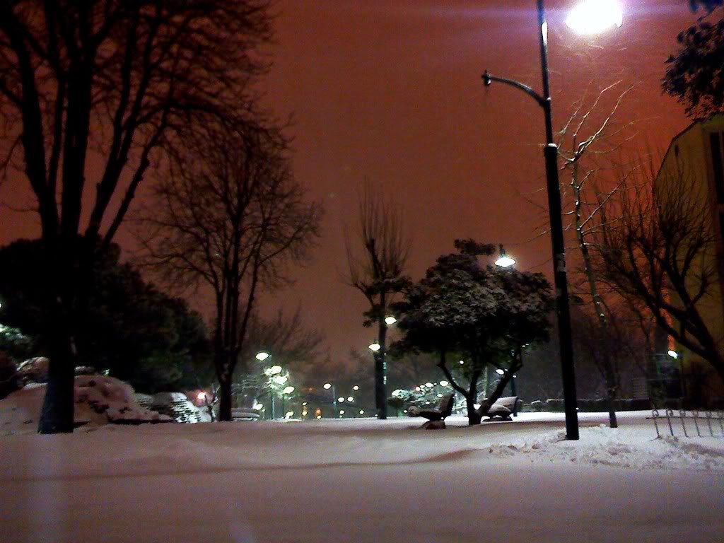 IMG977.jpg