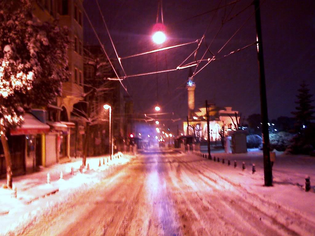 IMG984.jpg