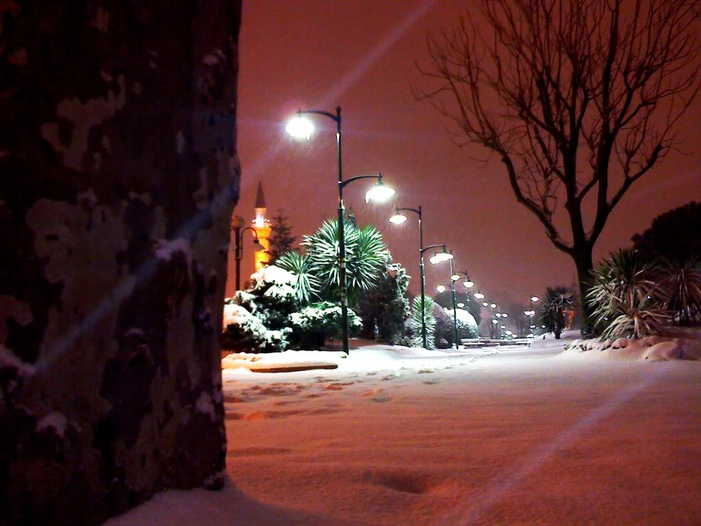 IMG987.jpg