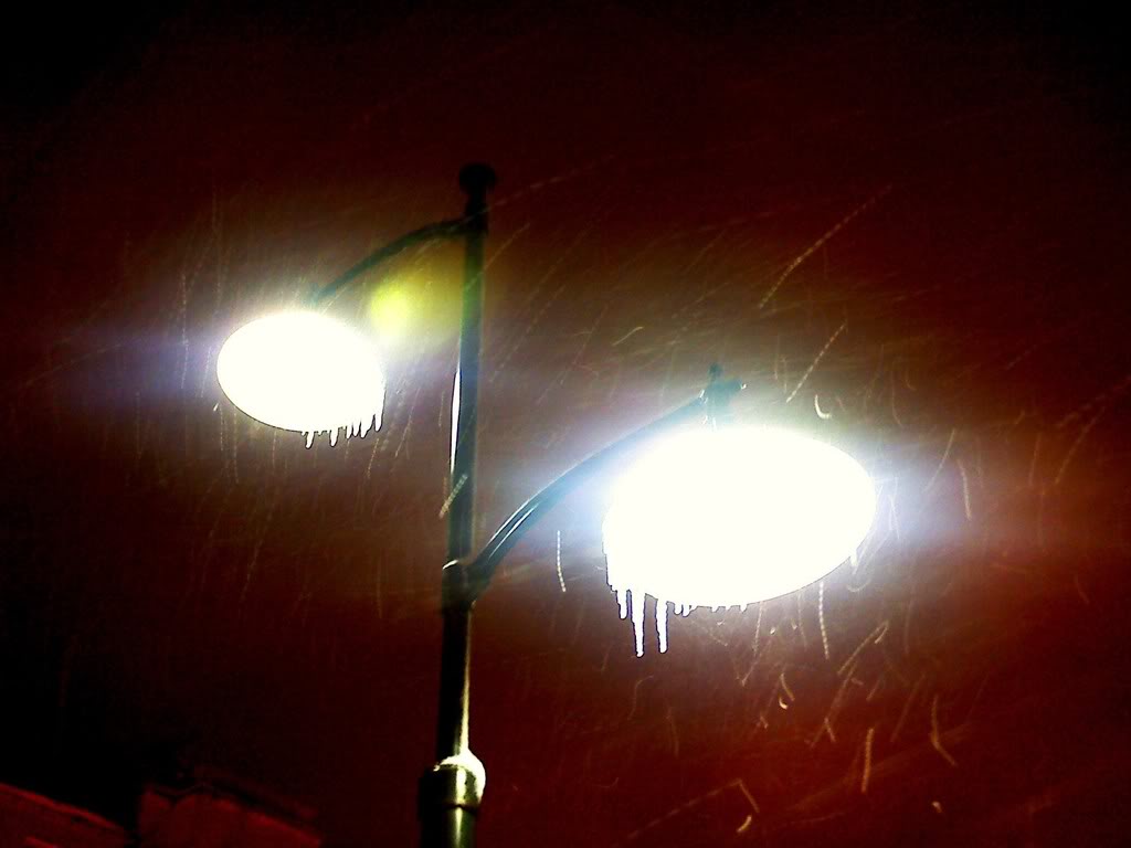 IMG990.jpg