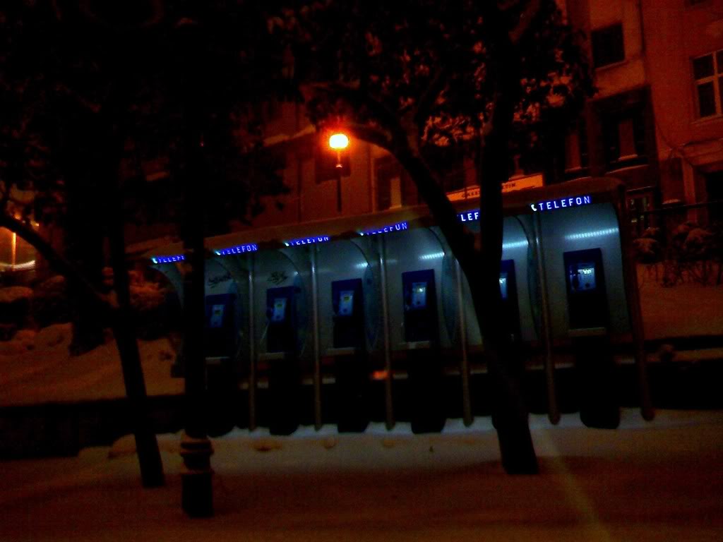 IMG994.jpg