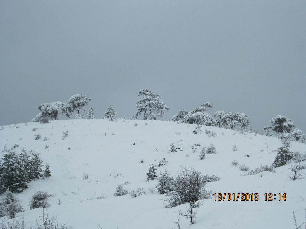 IMG_0002.jpg