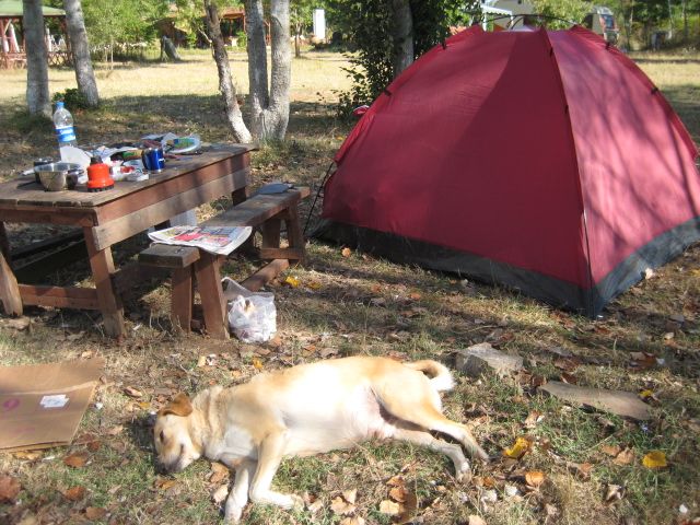 IMG_0006.jpg