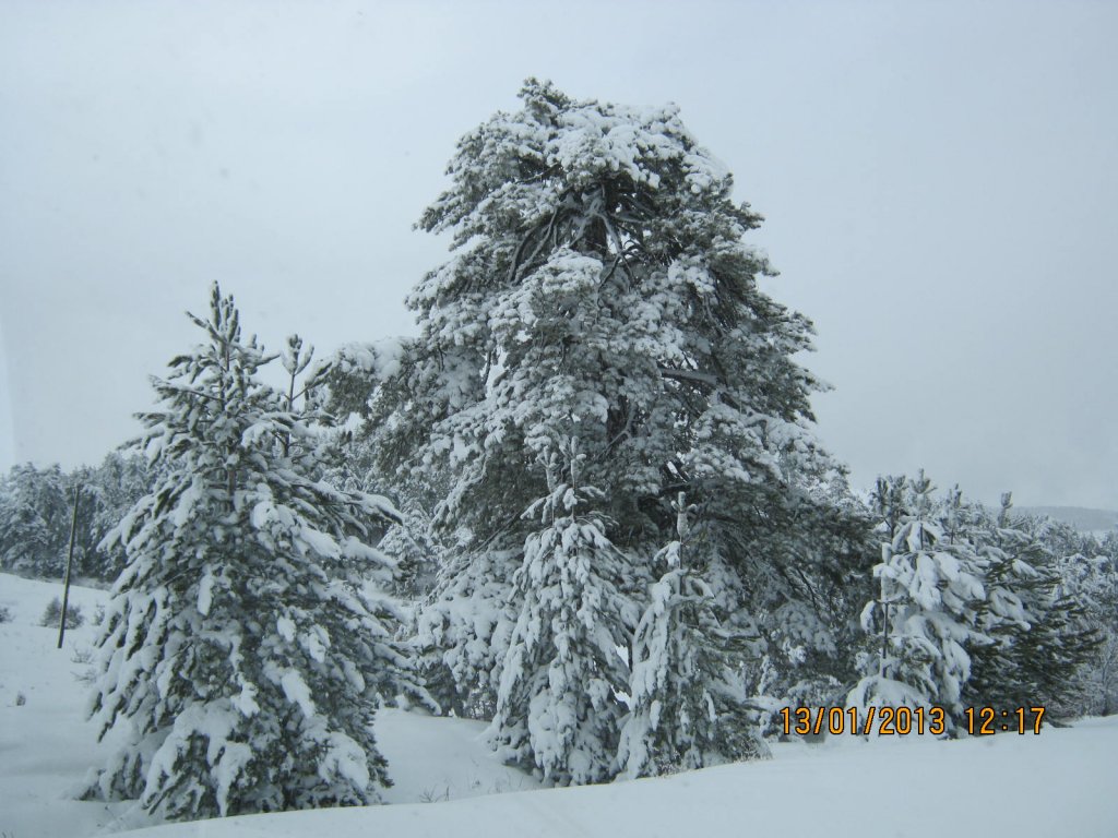 IMG_0007.JPG