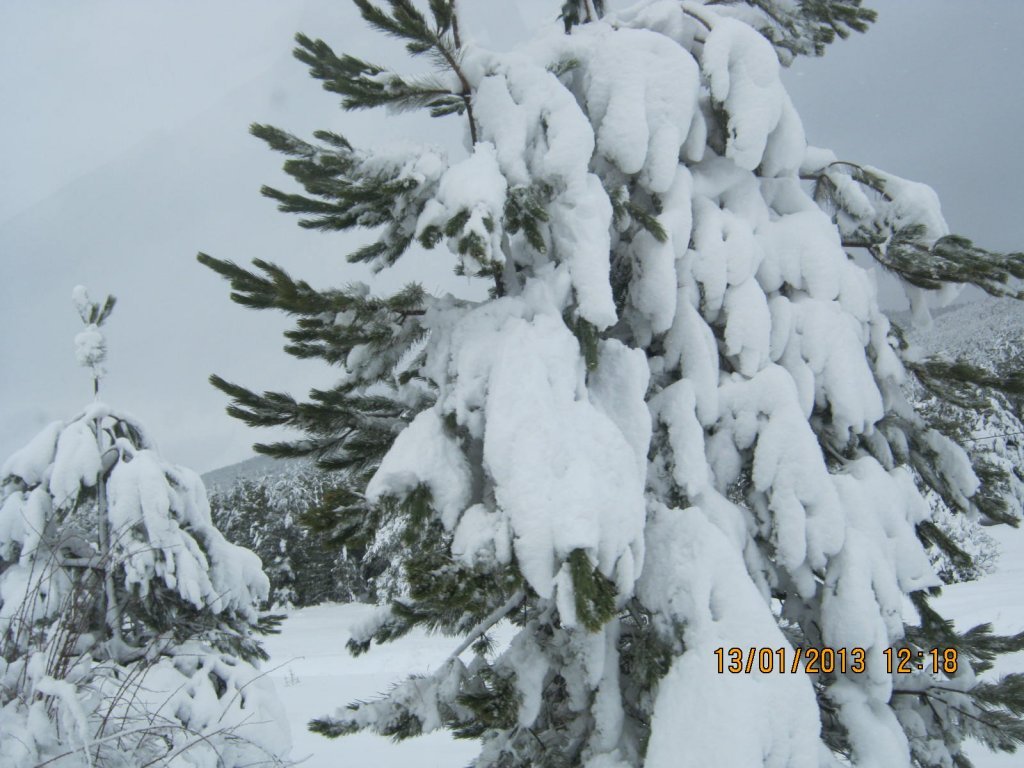 IMG_0008.JPG