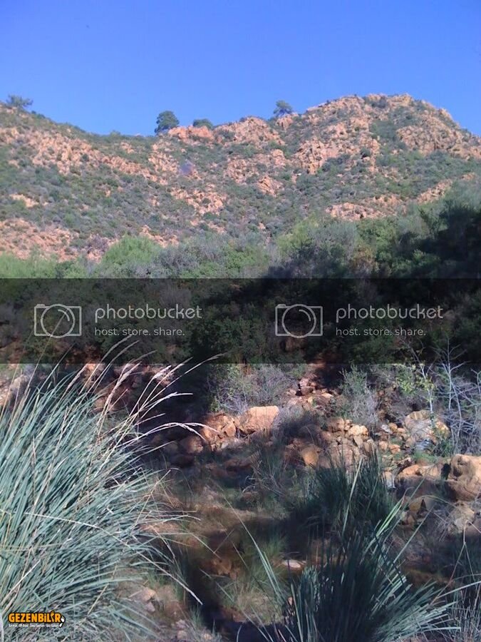 IMG_0008.jpg
