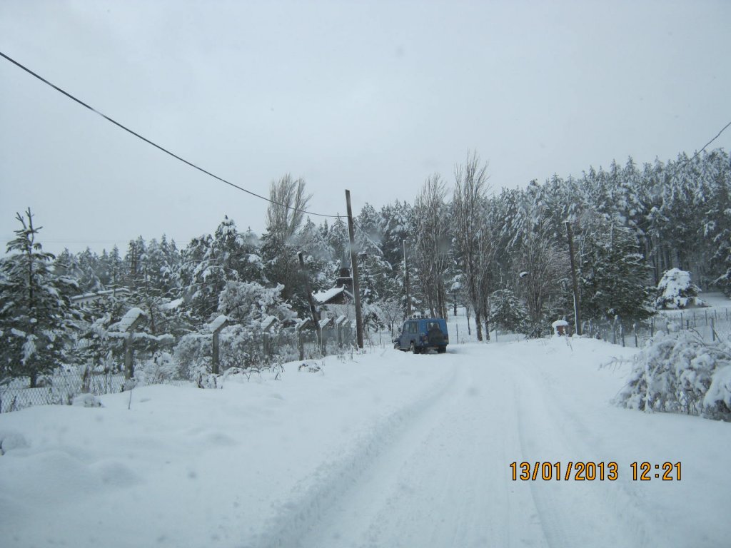 IMG_0009.JPG