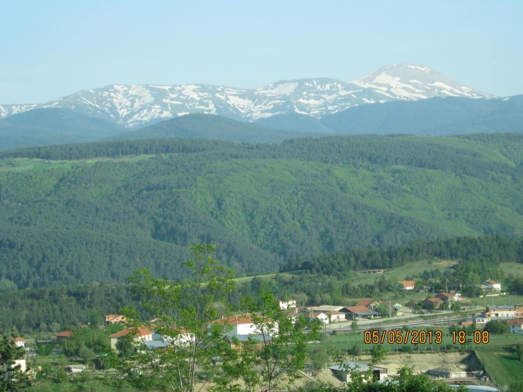 IMG_0010.JPG