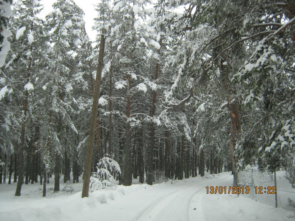 IMG_0011.JPG