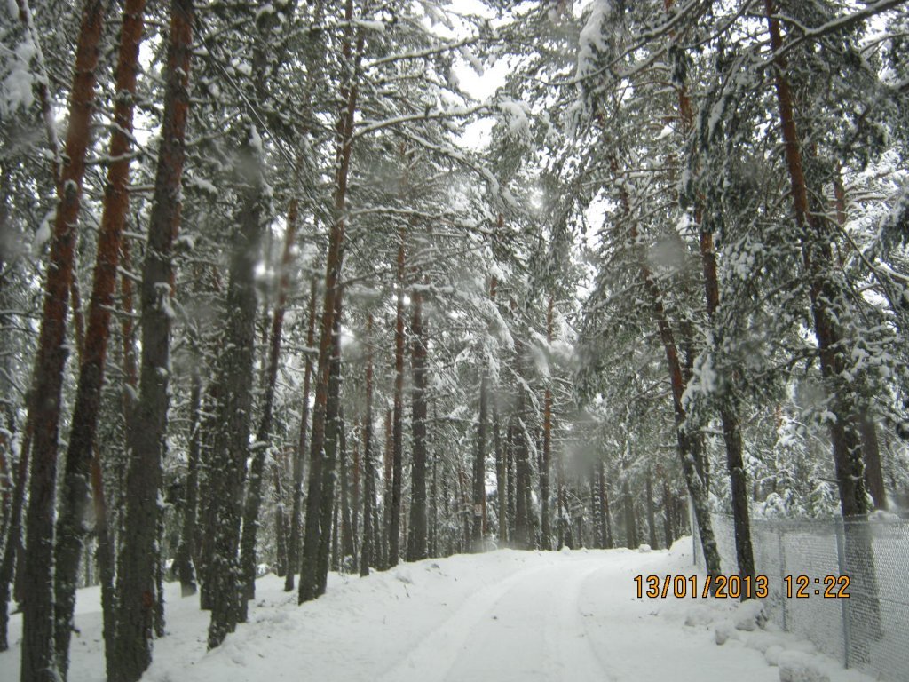 IMG_0013.JPG