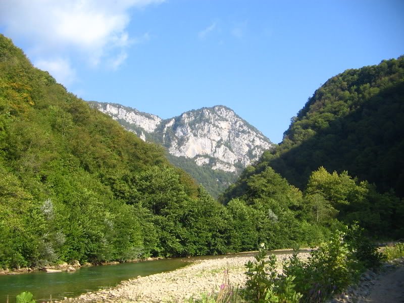 IMG_0014.jpg