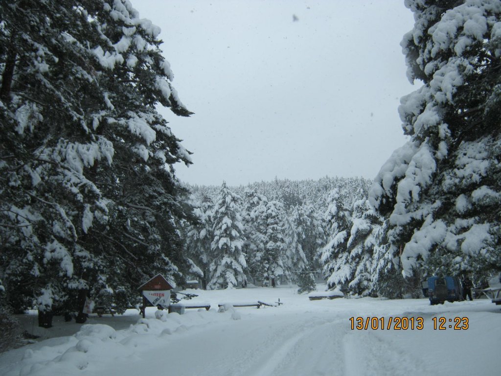 IMG_0014.JPG