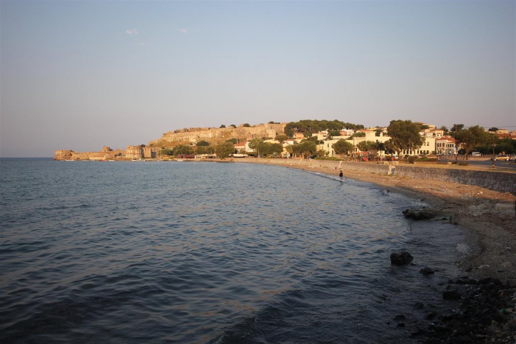 IMG_0014 (Large).JPG