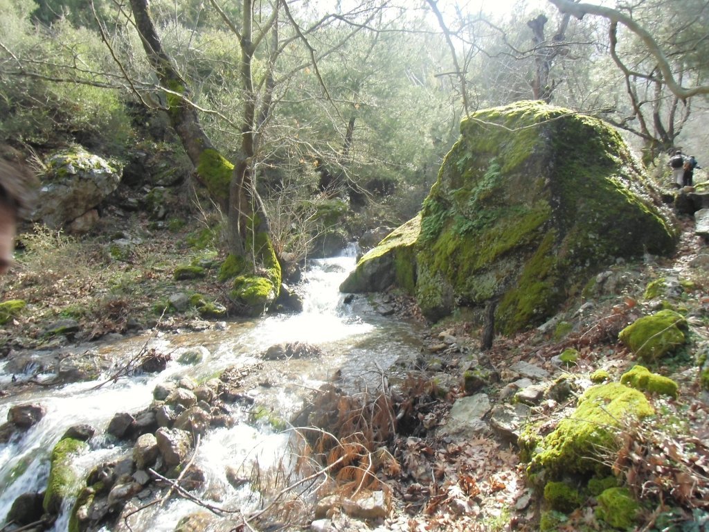 IMG_0016.JPG