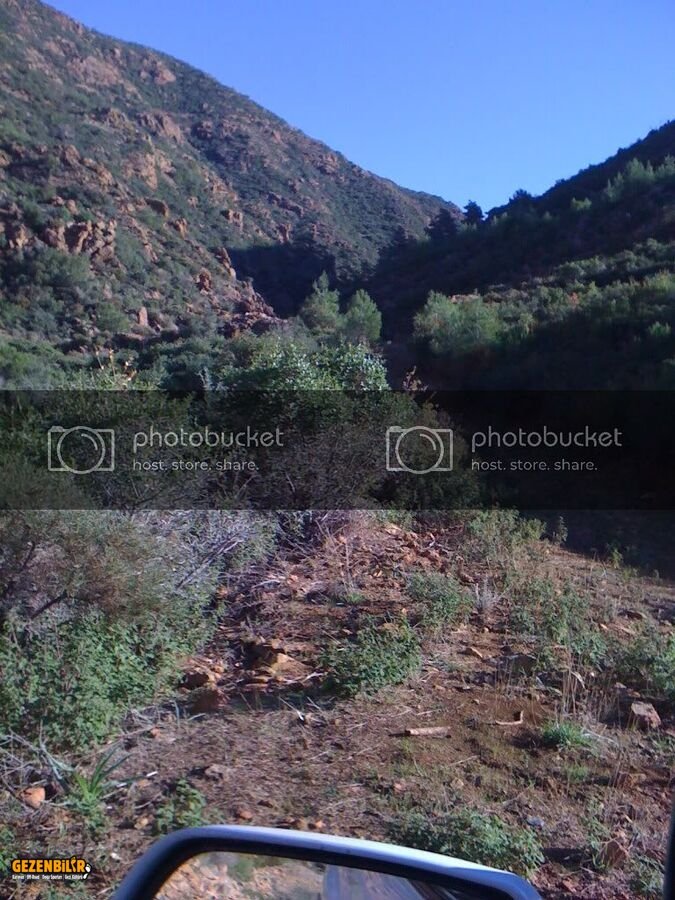 IMG_0016.jpg