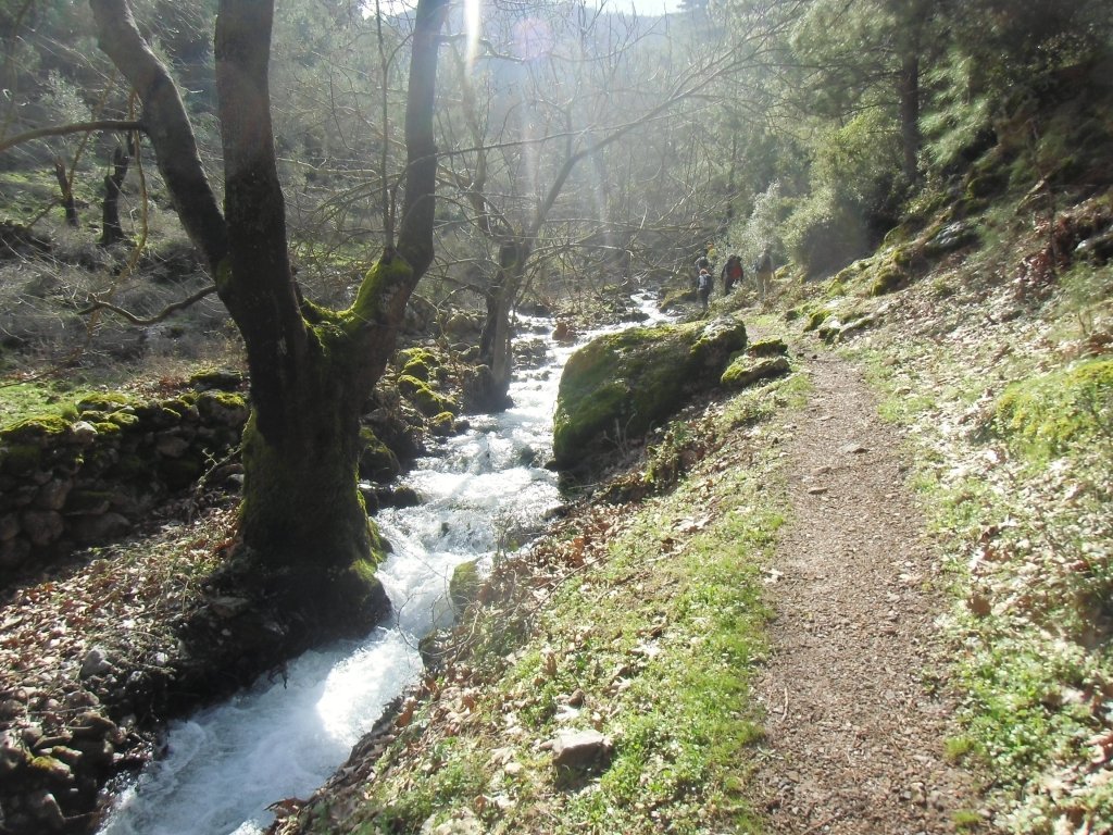IMG_0017.JPG