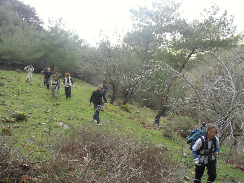 IMG_0020.JPG